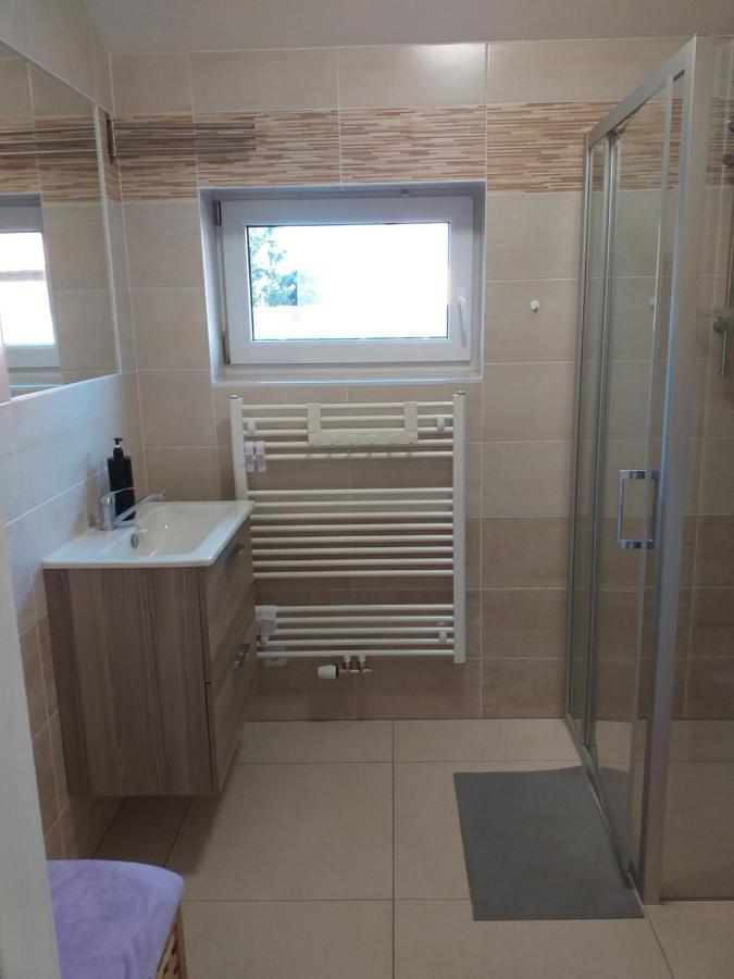 Ve Starem Dvore Apartment