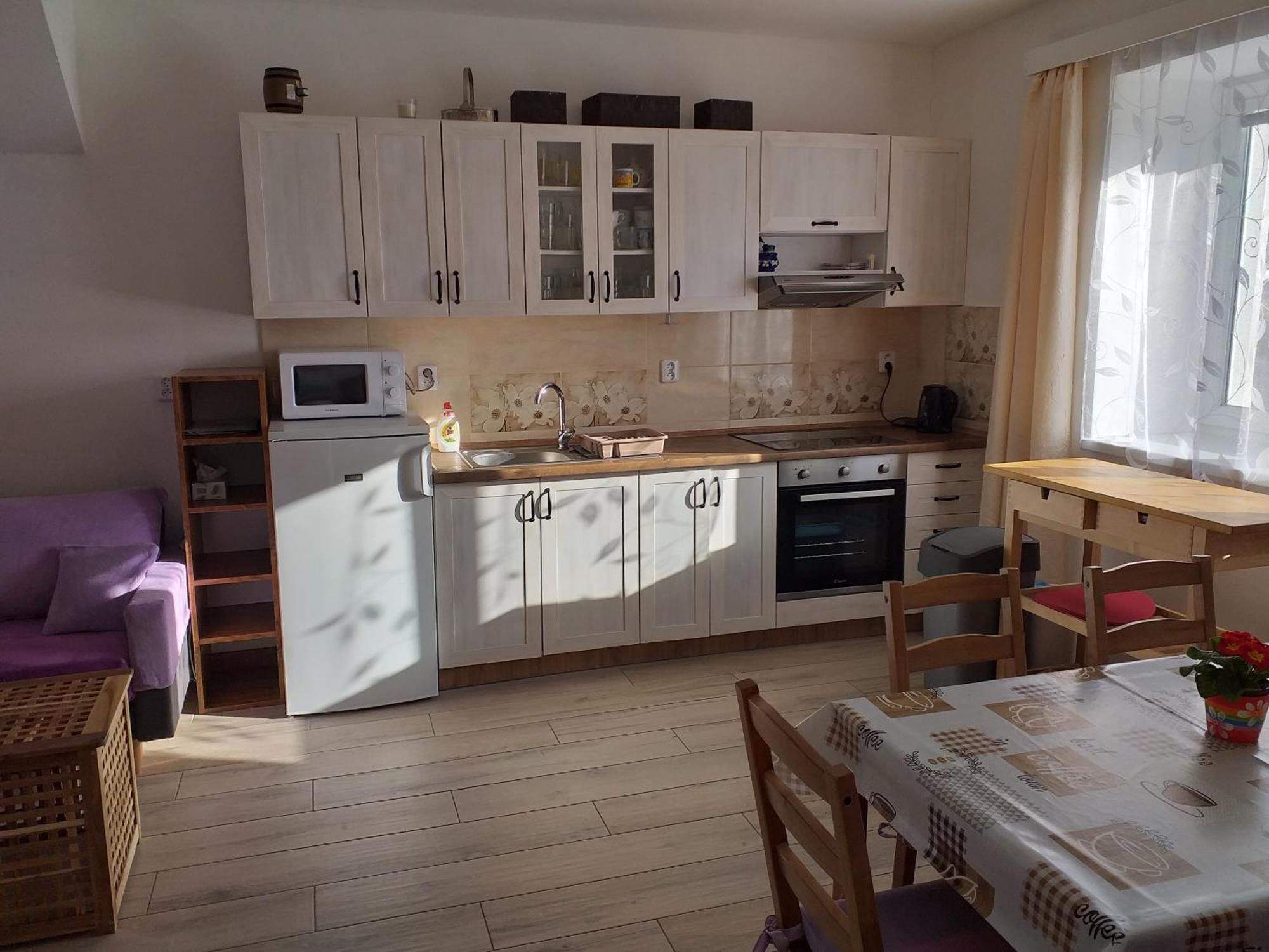 Ve Starem Dvore Apartment Tremosnice